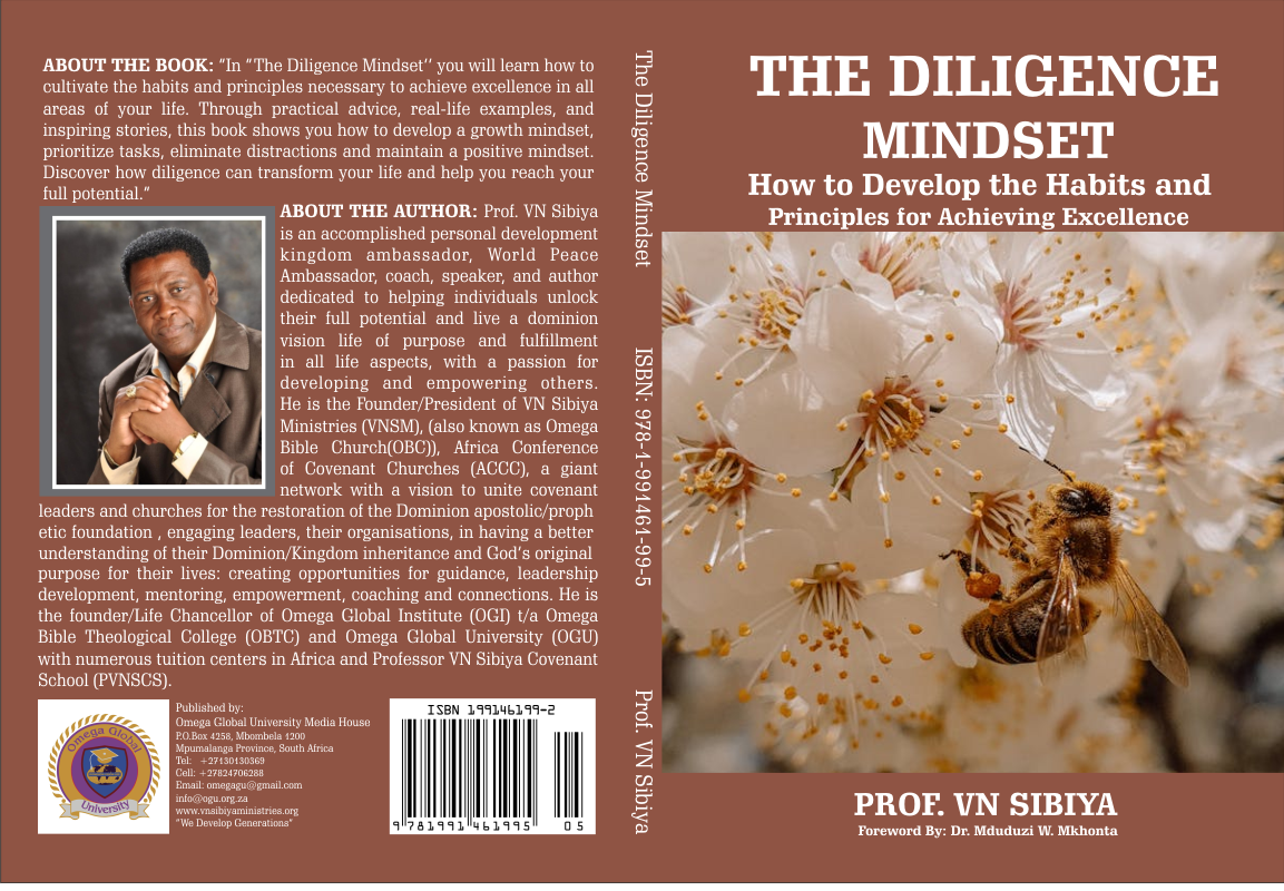 THE DILIGENCE MINDSET picture